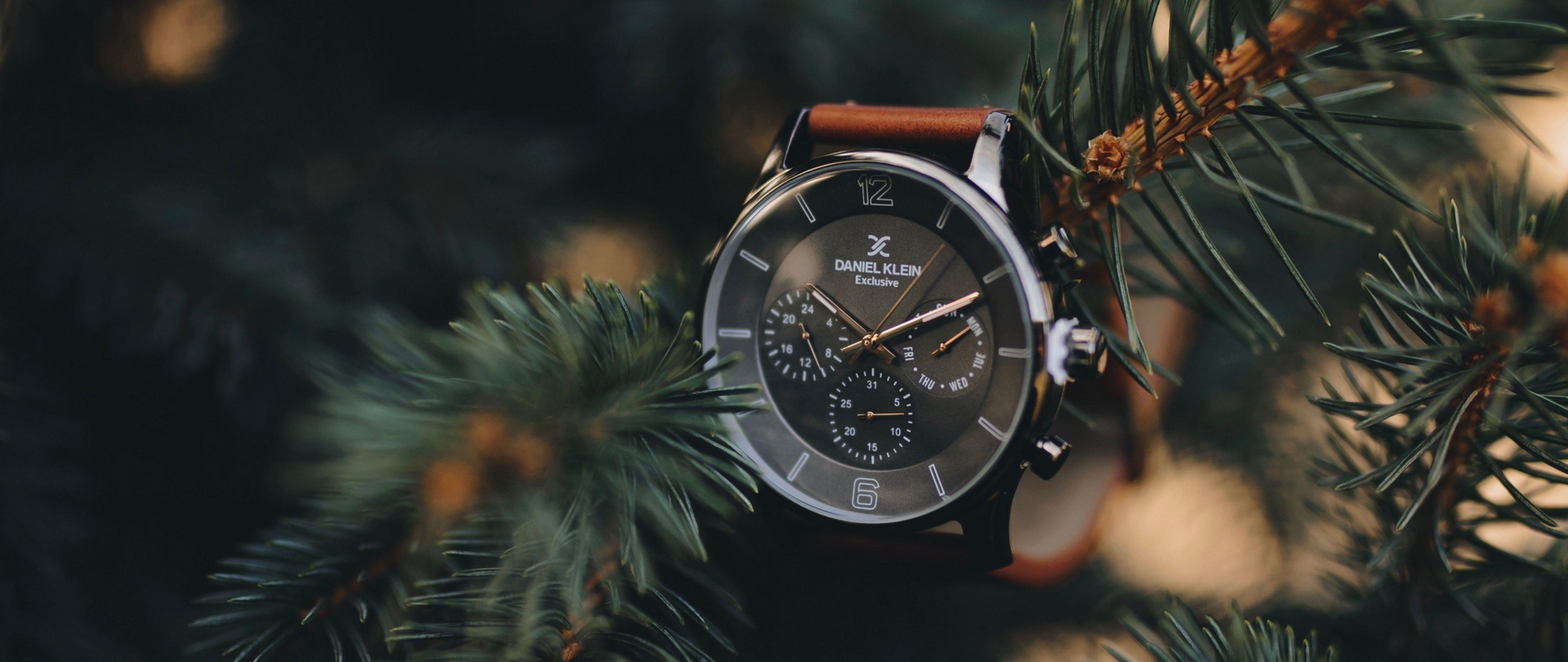 Luxury watch placed on a tree branch